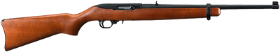 Ruger 10 22 render