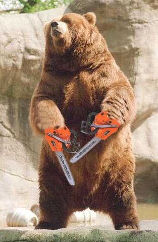 File:Ce564844ede058ebceb485f1d0775d94--bears-game-brother-bear.jpg
