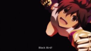 Black bird