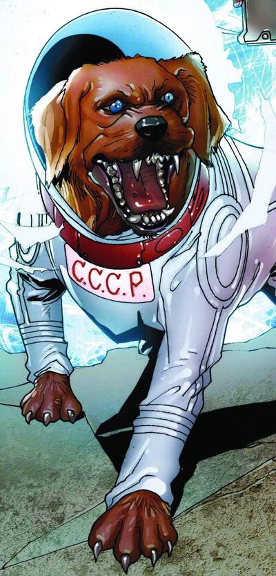 Cosmo (Dog)