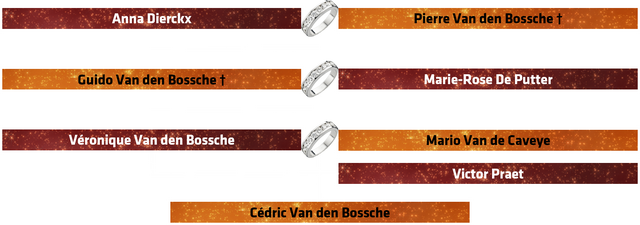 File:StamboomVéroniqueVandenBossche.png