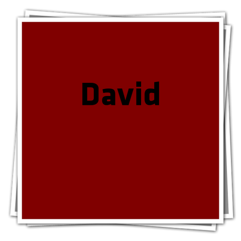 File:DavidIcon.png