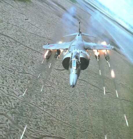File:Harrier.jpg