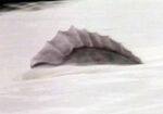 Photo-crivit-fin