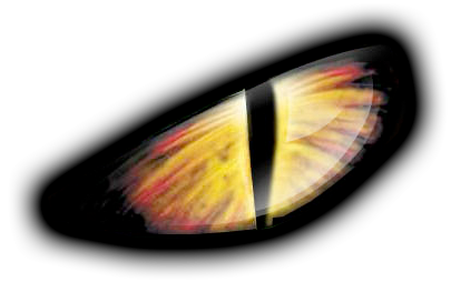 File:Bgeyeright.png