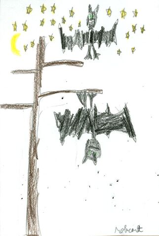 File:Robert Pawlowski Bats.jpg