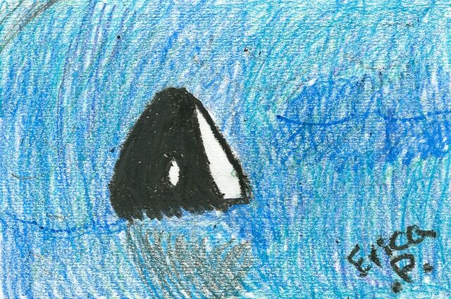 File:Erica Parnis Killer Whale.jpg