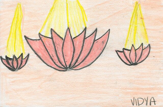 File:Vidya Vinnakota lotus flowers.jpg