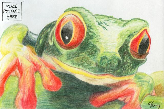 File:Catherine Chong frog.jpg