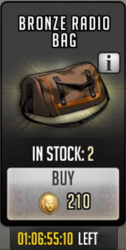 Bronze radio bag