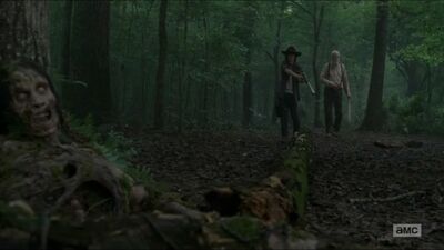 Carlandhershel