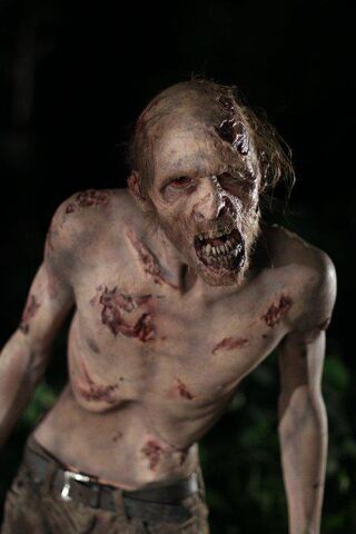 File:Old walker (travis) 2.jpg