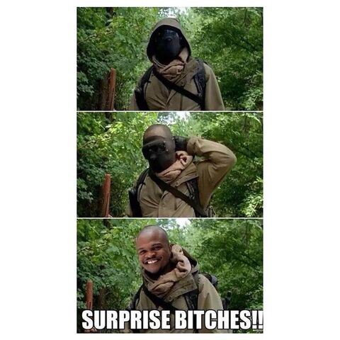 File:Surprise!.jpg