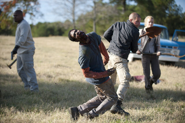 File:Walking-dead-212-1101 9547.jpg