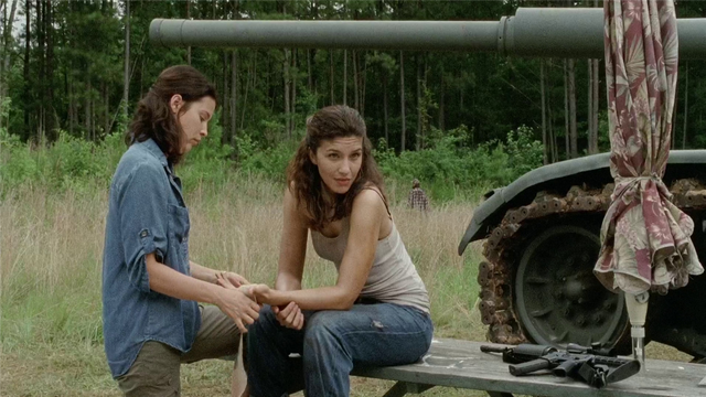 File:WalkingDeadS04E07M4A1.png
