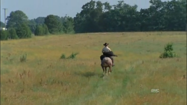 File:Horse and rick8.png