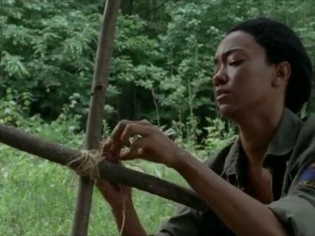 File:FWR TWD Images 034.jpeg