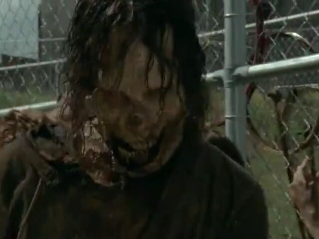 File:Walker outside the fence.jpg