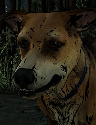 File:ATR Sam Camp.png