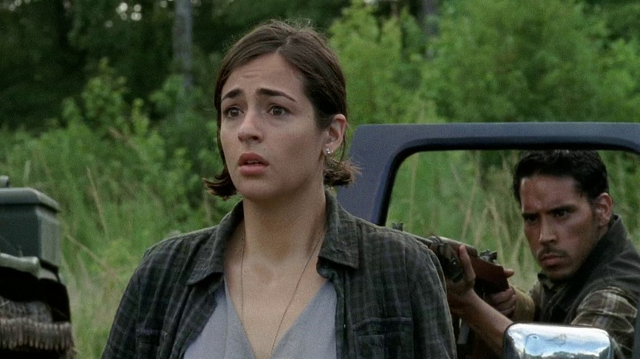 File:TWDS04E08M1.png