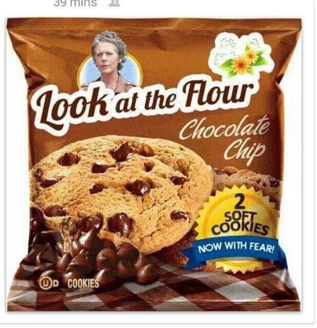 File:LookAtTheFlour.jpg