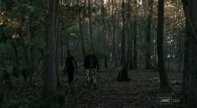 File:In The Woods.jpg