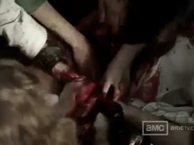 File:W1 TWD Images 049.jpeg