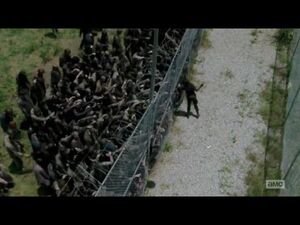 Maggie vs. Walkers