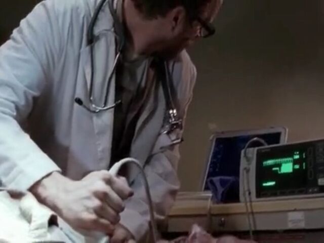 File:ST TWD Images 040.jpeg