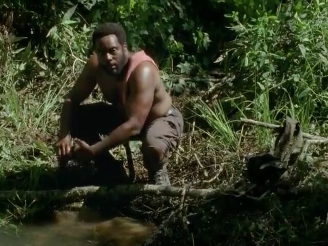 File:Tyreese 3.jpg