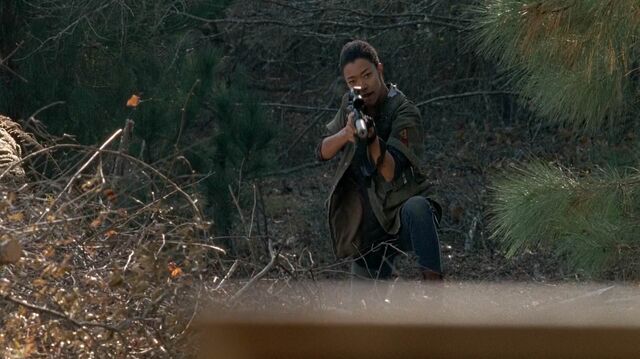 File:513 Sasha in Woods.jpg