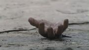 Twd103 2447.jpg