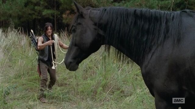 File:S5E13 37.jpg