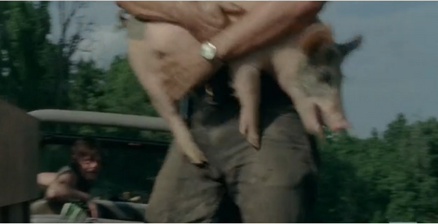 File:Pig 1.png