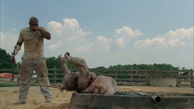 File:The-walking-dead-204-1.jpg