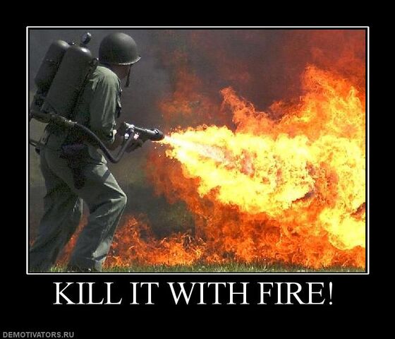 File:269209 kill-it-with-fire.jpg