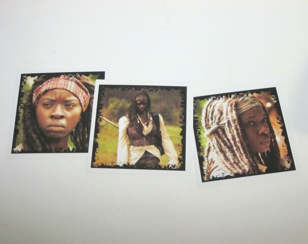 File:Michonne Character Cards.jpg