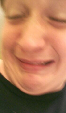 File:Nafans gf.jpg