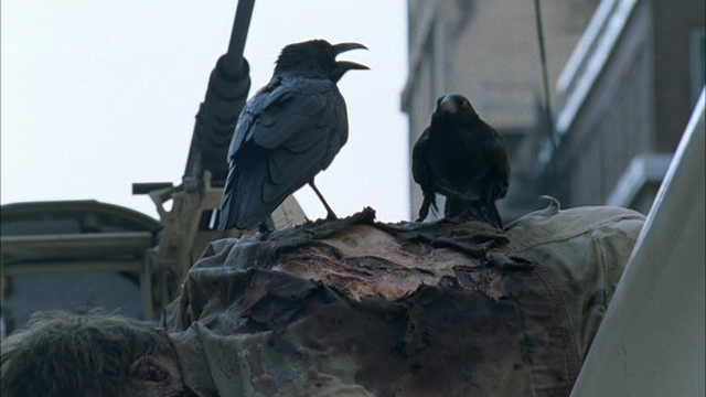 File:Vlcsnap-2013-09-17-17h57m38s198.png
