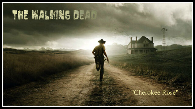 File:The Walking Dead Imagess.jpg
