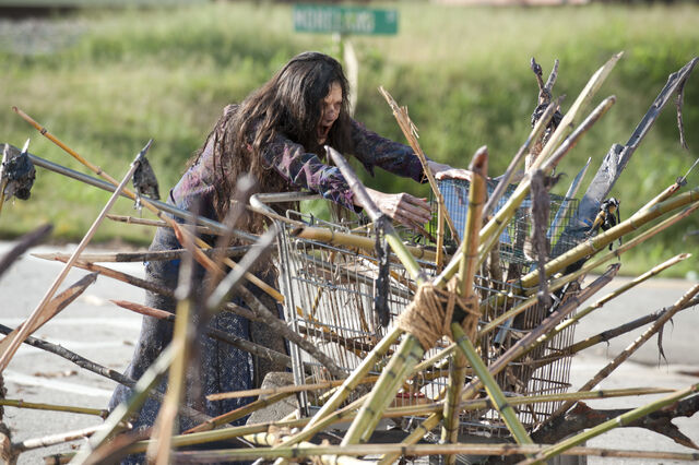 File:Walking-Dead-312-11.jpg