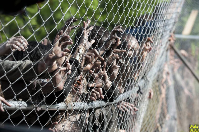 File:WalkersOnTheFence.jpg