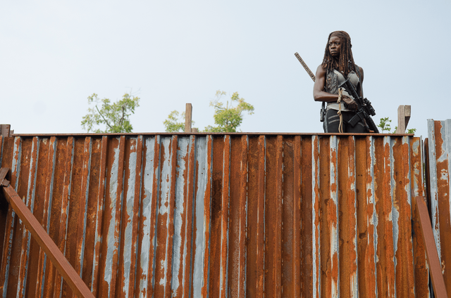 File:AMC 610 Michonne Lookout.png