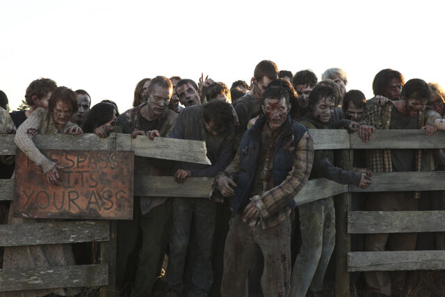 File:Episode-13-walkers-fence-2.jpg