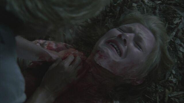 File:Twd104-002198.jpg