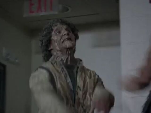 File:TWDBLR Images 013.jpeg