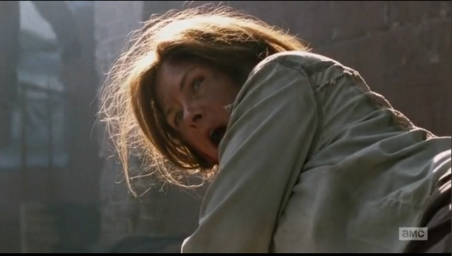File:MaryShit.png