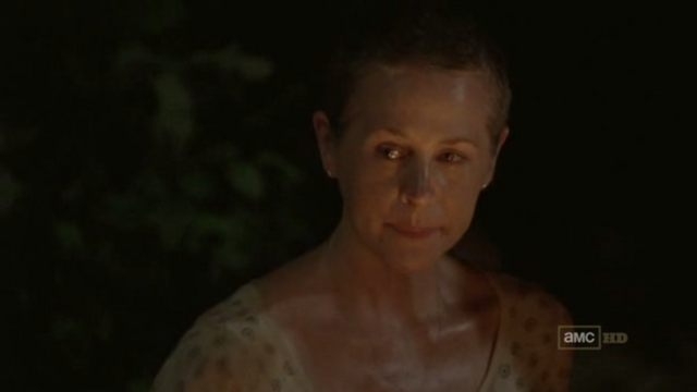 File:Caroltvseries.png