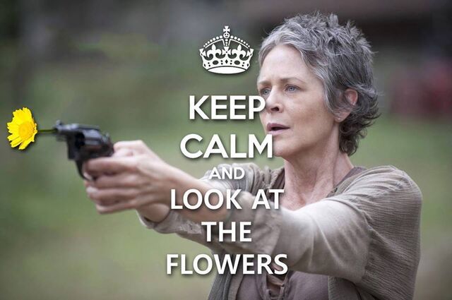 File:Look At The Flowers.jpg