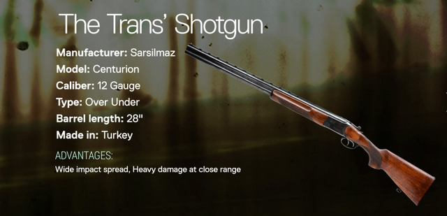 File:The Trans' Shotgun.png